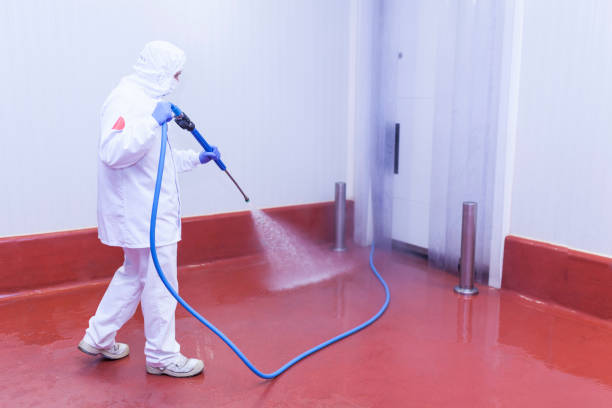 Best Sidewalk and Walkway Cleaning  in Aspen, CO
